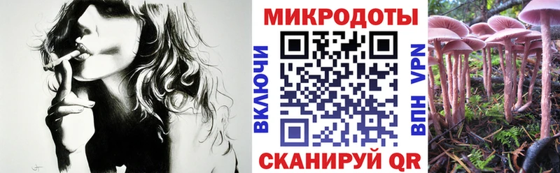 omg как войти  Макарьев  Псилоцибиновые грибы мухоморы 