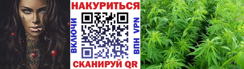 МЕГА как зайти  Макарьев  Марихуана SATIVA & INDICA  купить наркотик 